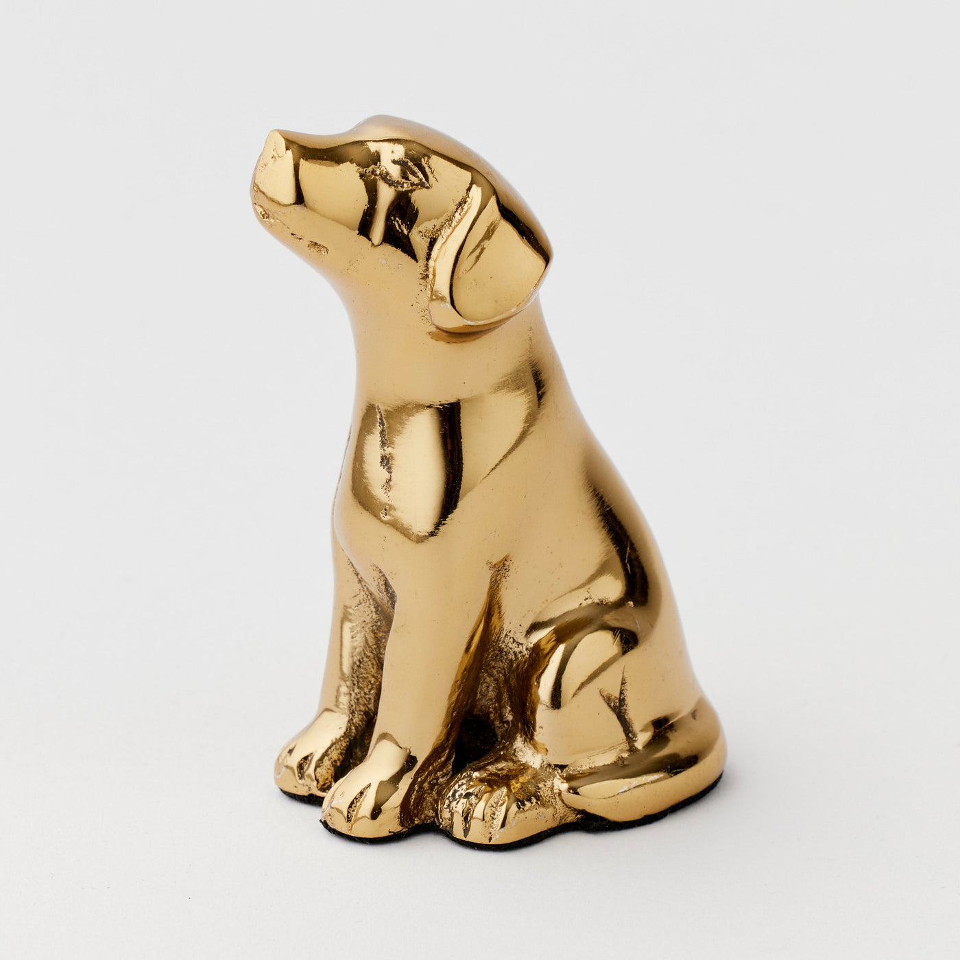 Stay Pawsitive Figurine-PILBEAM LIVING-Lima & Co